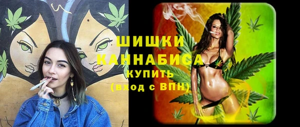 прущие грибы Пролетарск